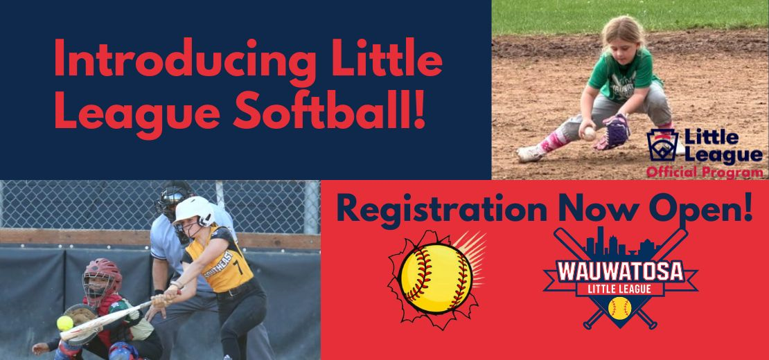 NEW! Softball for 2026